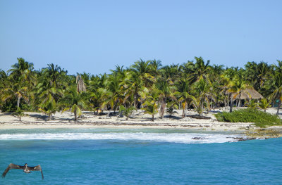 Mahogany Beach - Roatan, Honduras