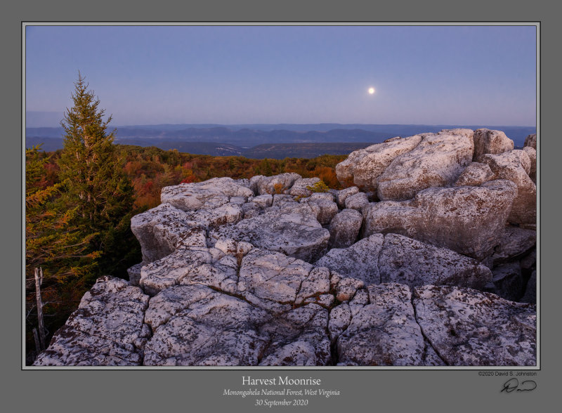 Harvest Moonrise.jpg