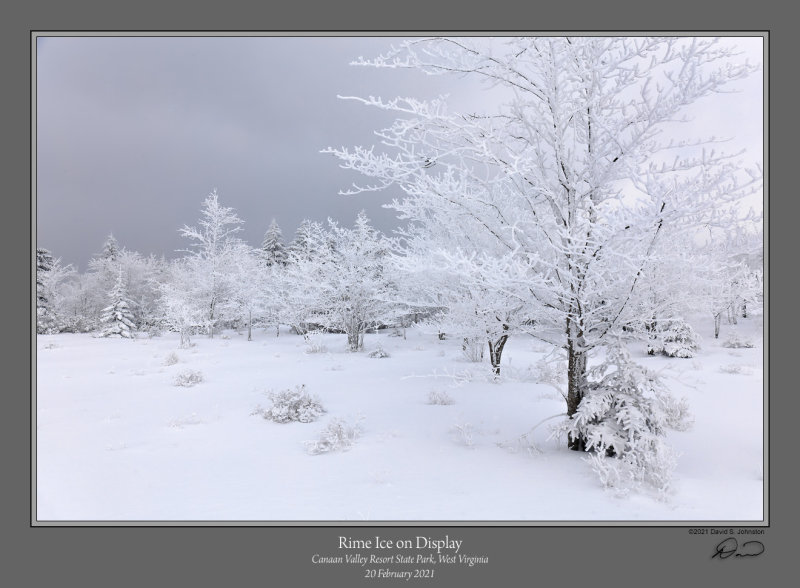 Rime Ice Display.jpg