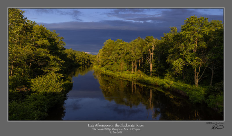 Late Afternoon Blackwater River.jpg