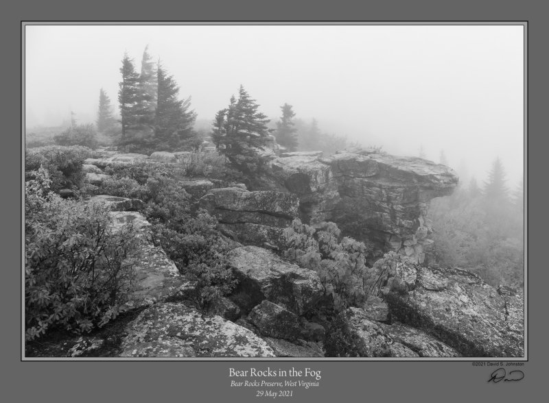Bear Rocks Fog 2.jpg