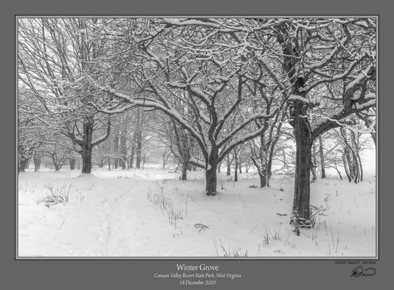 Winter Grove Canaan.jpg