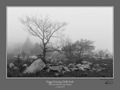 169193539.O0UHQdy0.Foggy_Evening_Dolly_Sods.jpg