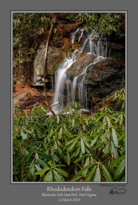 Rhododendron Falls 1.jpg