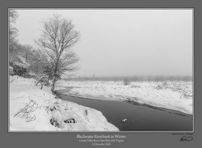 Blackwater Riverbank Winter.jpg