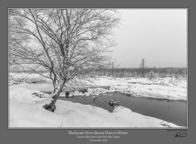 Blackwater River Beaver Dam Winter.jpg