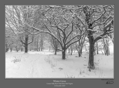 Winter Grove Canaan.jpg