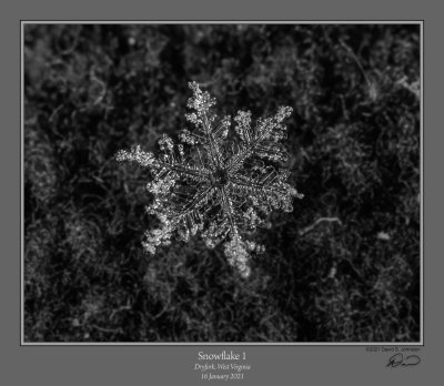 Snowflake 1.jpg