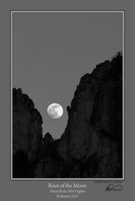Root of Moon Seneca Rocks.jpg