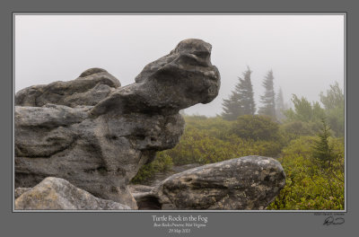 Turtle Rock Fog.jpg