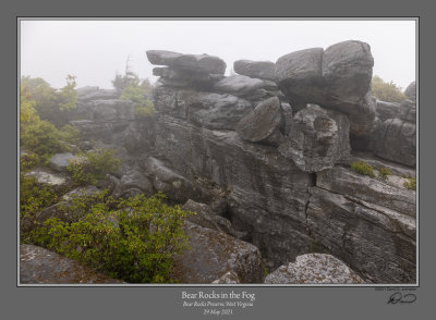 Bear Rocks Fog 3.jpg