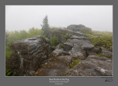 Bear Rocks Fog 4.jpg