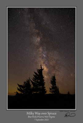 Milky Way over Spruce.jpg