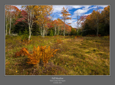 Fall Meadow 1.jpg