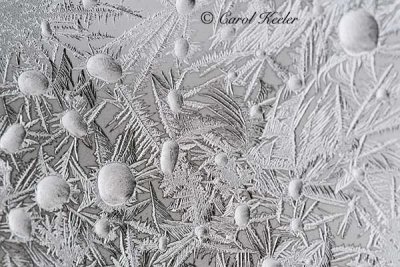 Frost Impressions 