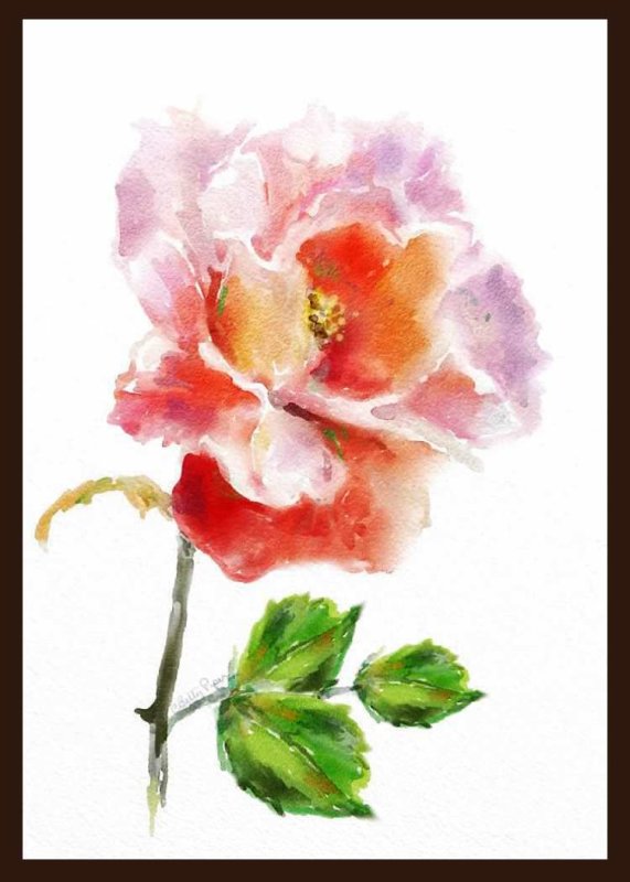 framed rose by Betty Piper.jpg