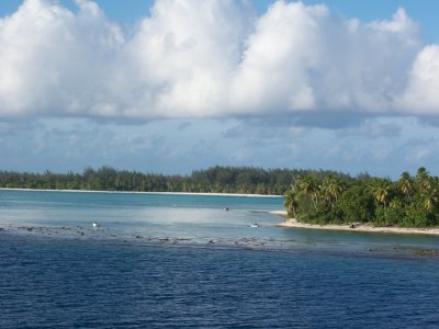 g12/07/740007/3/172895512.vJxxpBZM.jpg