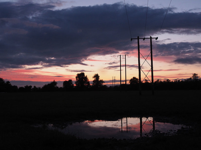 Sunset puddle