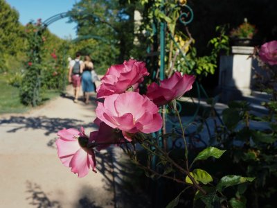 Jardin des Plants