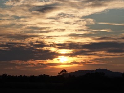Summer evenings