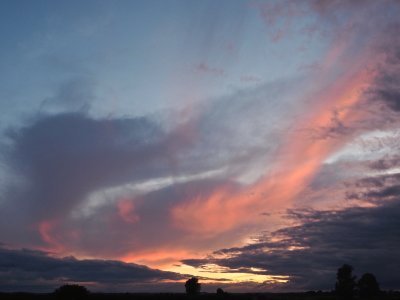 After the rain