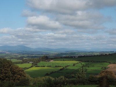 The scenic route