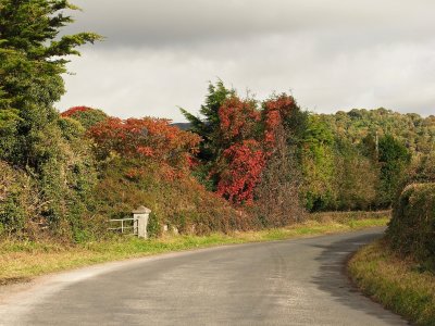 Autumn is just around the corner