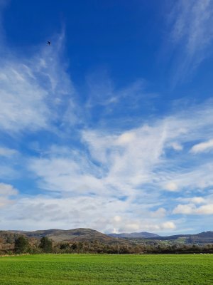 Big sky