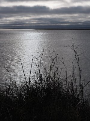 Light on the water