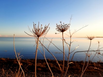 Late afternoon at the shore