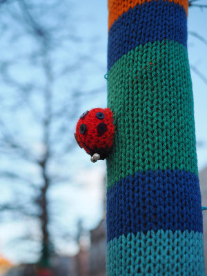 yarnbombing.jpg