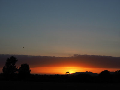 Orange sunset