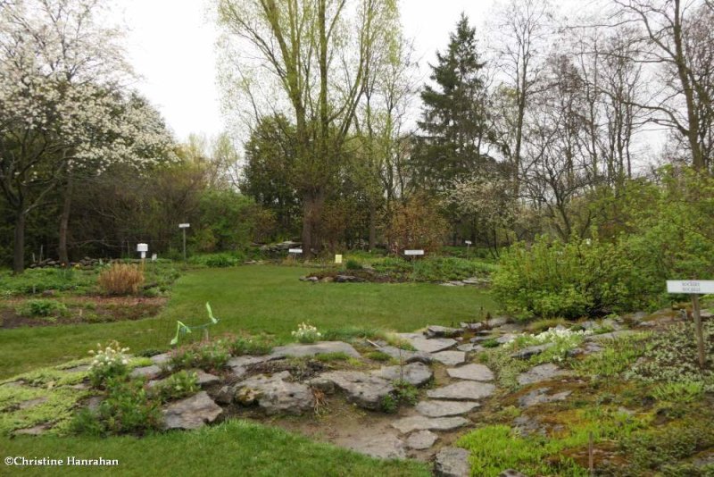 Backyard Garden of the Fletcher Wildlife Garden