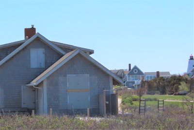 Snowy Owl (rooftop) - Plymouth (Gurnet), MA - April 25, 2021