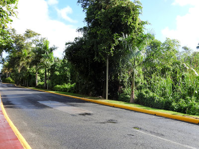 The natural area near the security gate