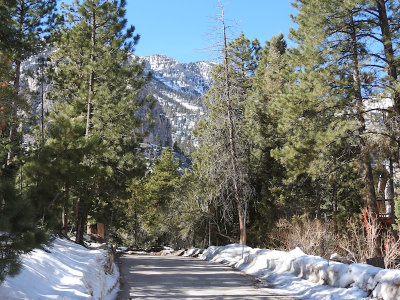 View from Mount Charleston (summer home area)