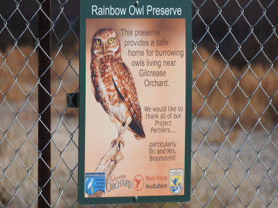 Burrowing Owl Preserve