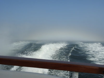 Fogged in - whale-watching in St. Andrews, NB