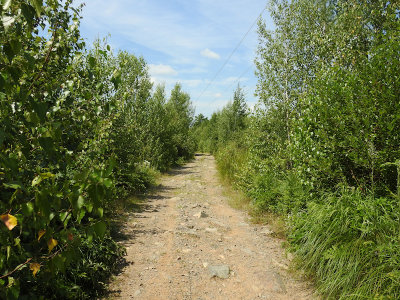 Trail along hydro corridor