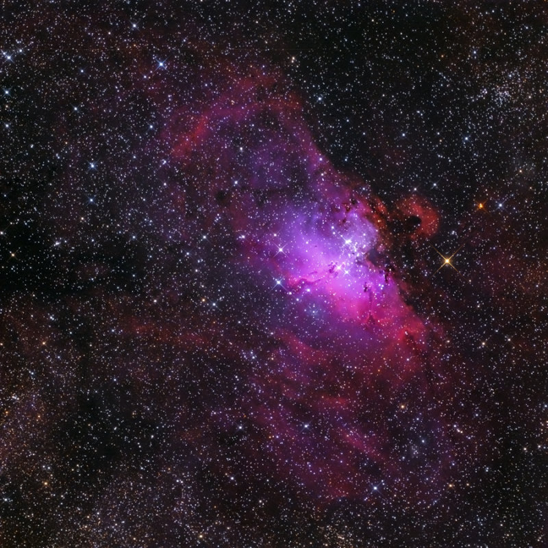 M 16 Adler Nebel