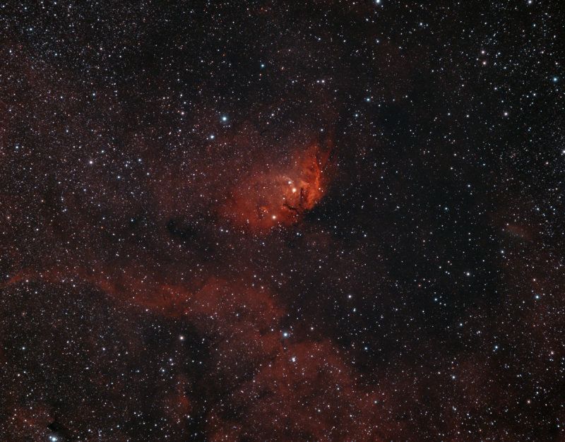 SH2 - 101 Tulpen - Nebel