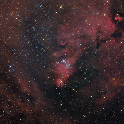 NGC 2264 Konusnebel