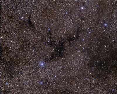 Circinus Star