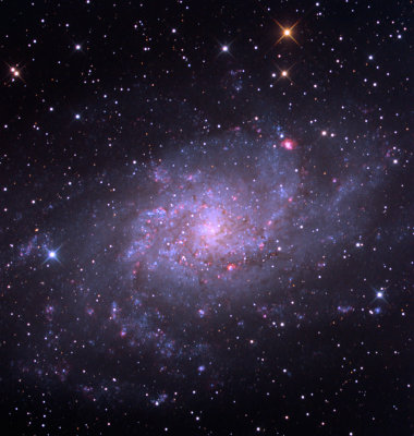 M 33 