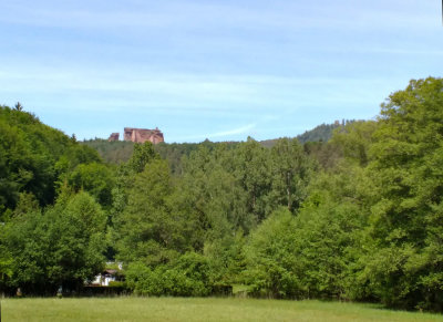 Fleckenstein