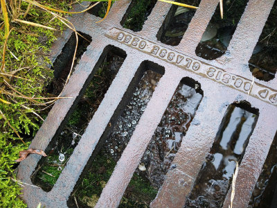 Drain, cobweb