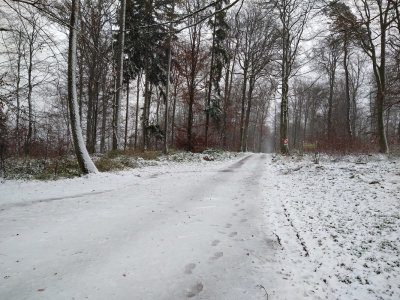 Up by the Breitenstein