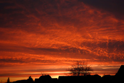 Oh look, a sunrise.