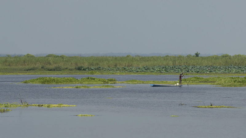 Natural swamp Nong Haan.