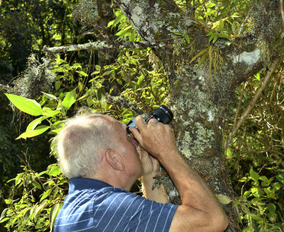 Kurt take pictures of Dendrobium denudans and Oberonia falconeri